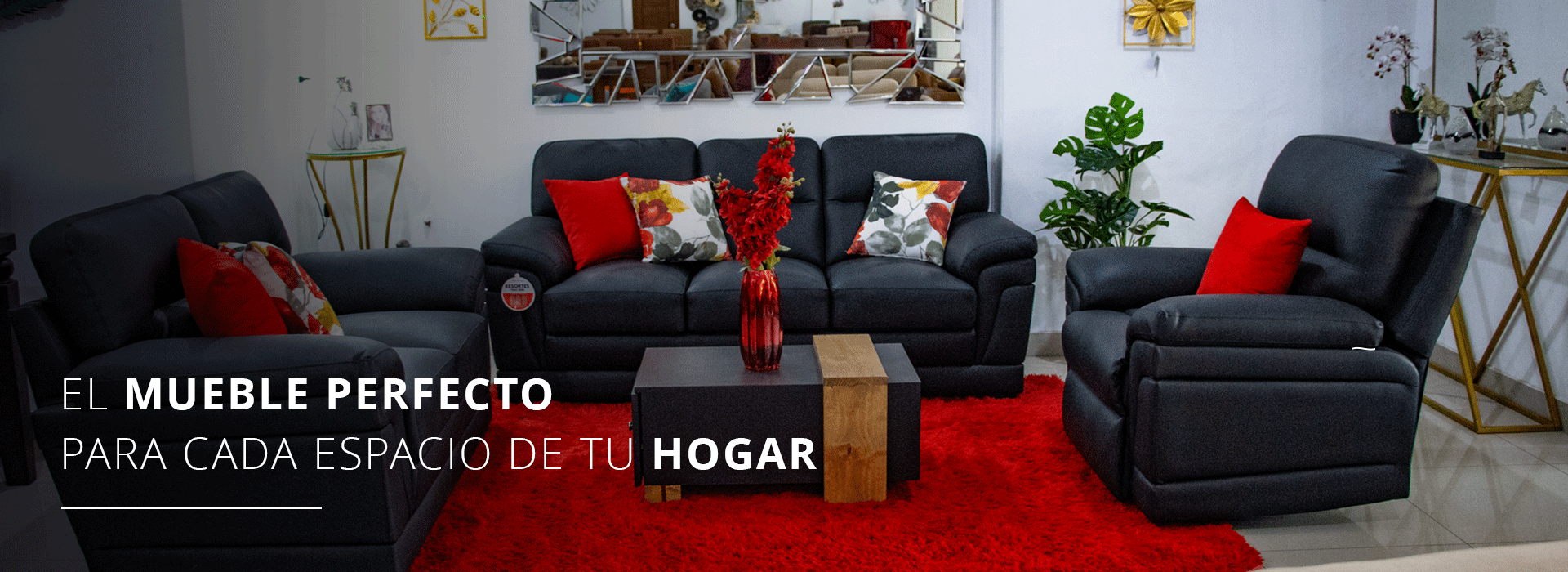 imagen carrusel